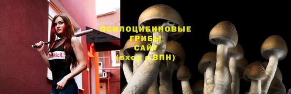 бутират Абинск