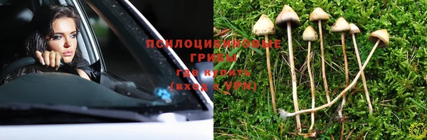 гидра Абдулино