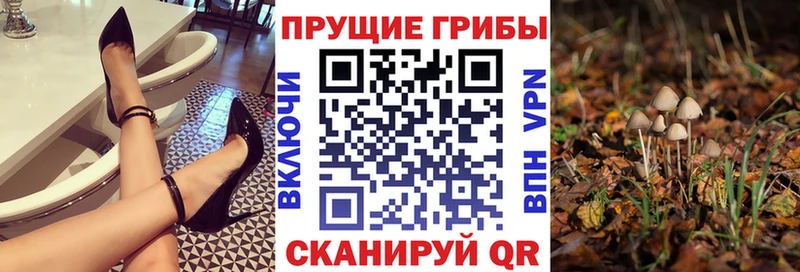 Галлюциногенные грибы Magic Shrooms  Кисловодск 